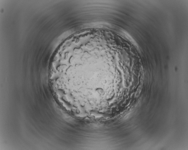 X0000067930994200604272004