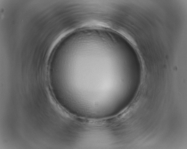 X0000067931008200604272004
