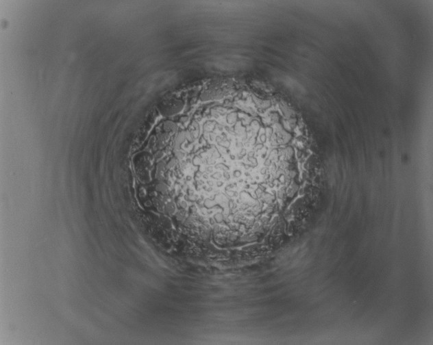 X0000067931009200604272003