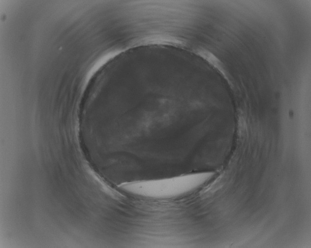X0000067931024200604272003