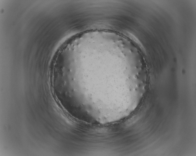 X0000067931035200604272004