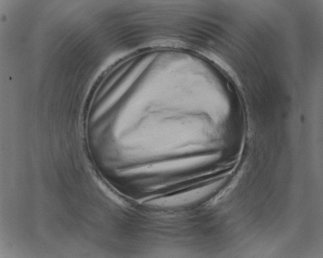 X0000067931037200604272004
