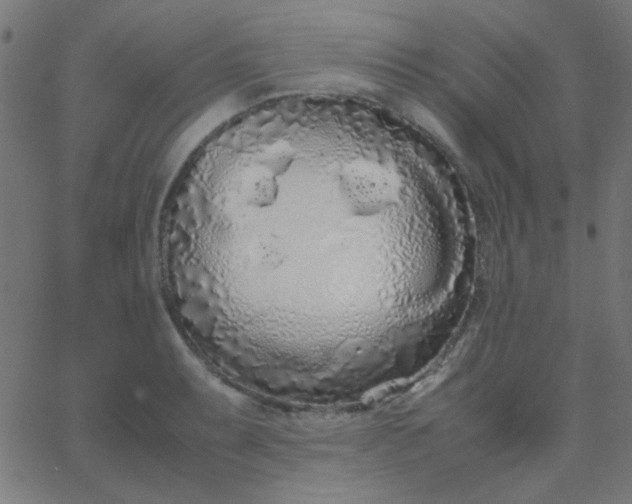 X0000067931087200604272003