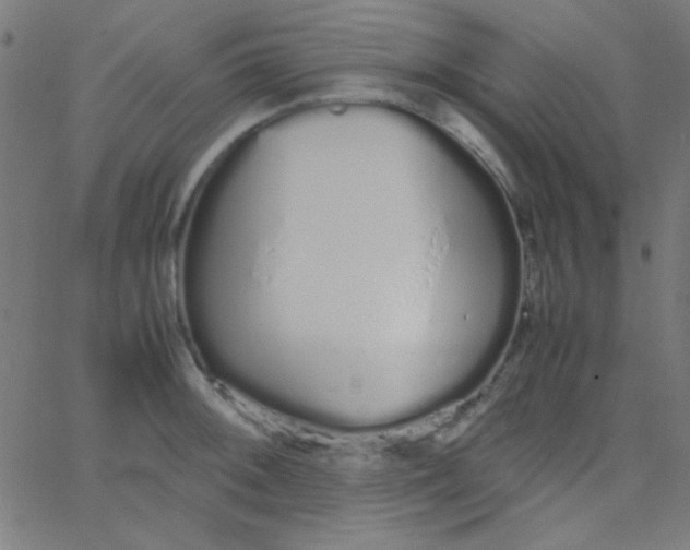 X0000067931092200604272002