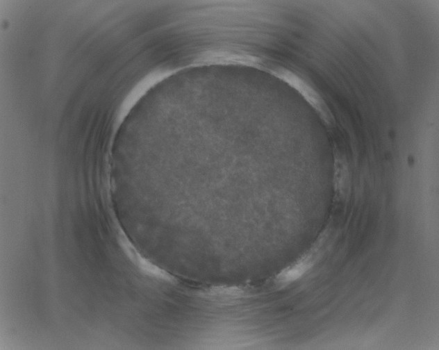 X0000067931094200604272002