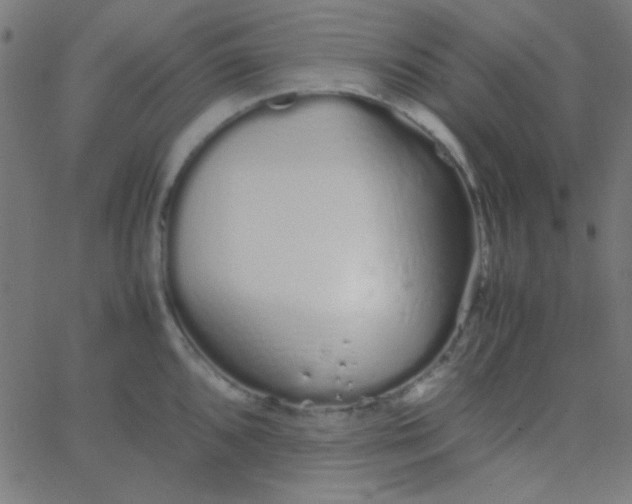 X0000067931096200604272002