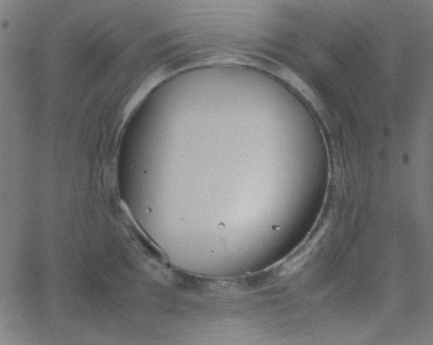 X0000067931097200604272002