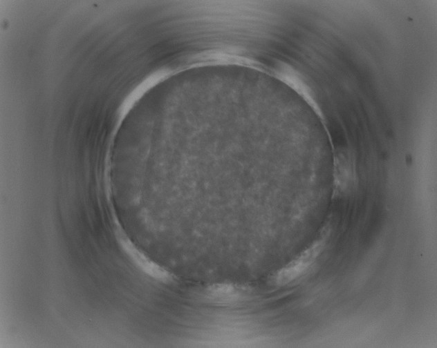 X0000067931098200604272002