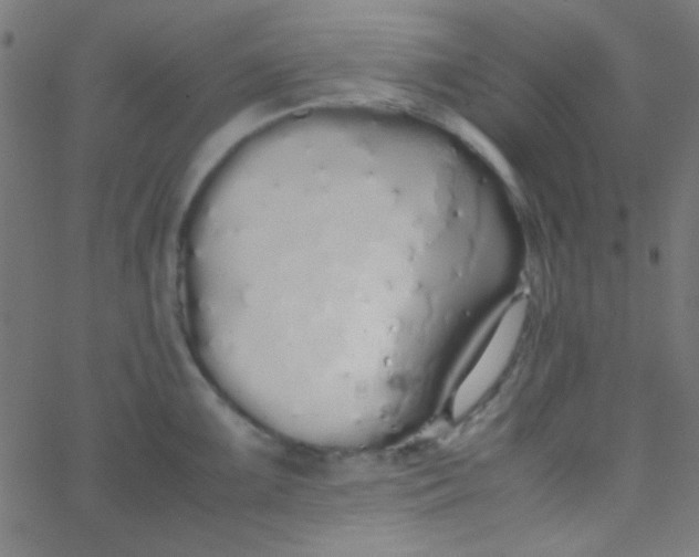 X0000067931099200604272002