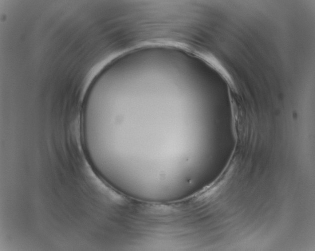 X0000067931100200604272002