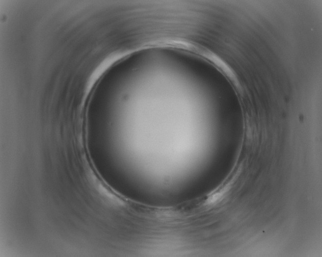 X0000067931102200604272002