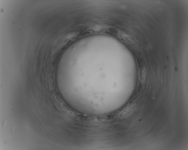 X0000067931105200604272002