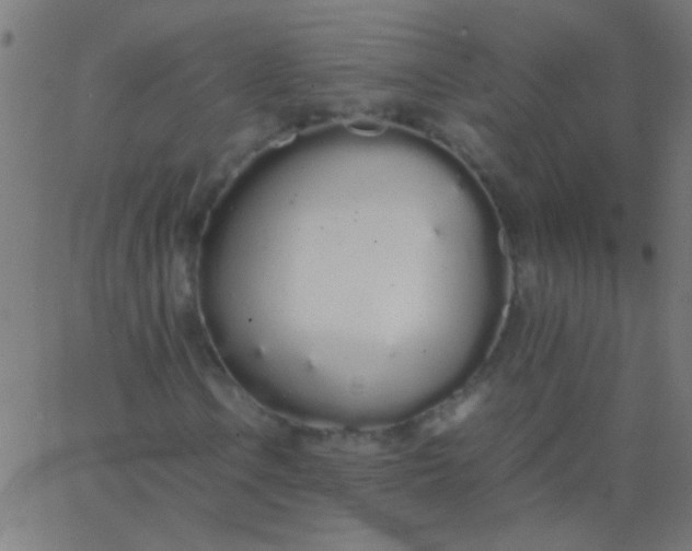 X0000067931106200604272002