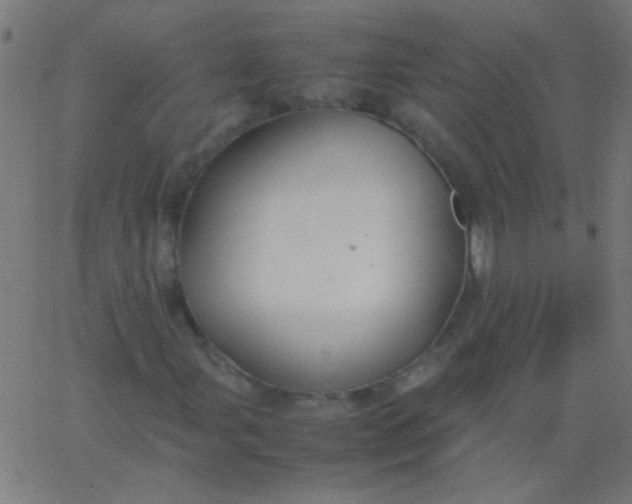 X0000067931107200604272002