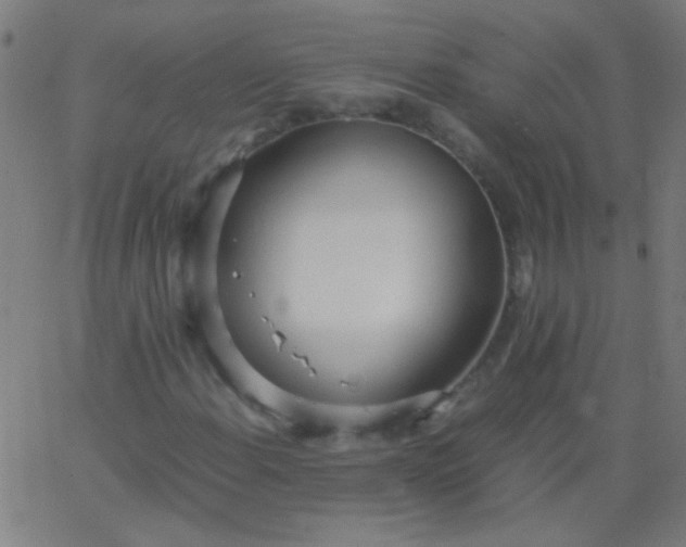 X0000067931108200604272002