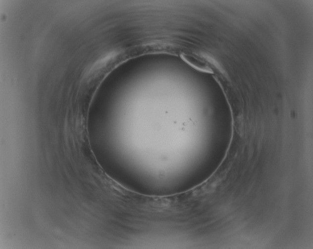 X0000067931111200604272002