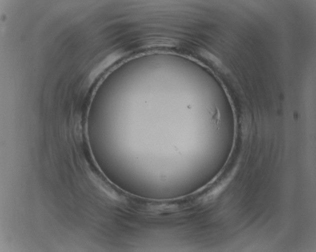 X0000067931113200604272002