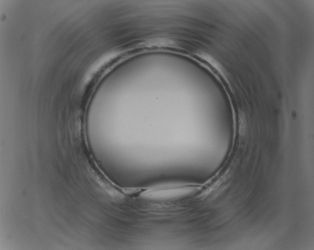 X0000067931115200604272002