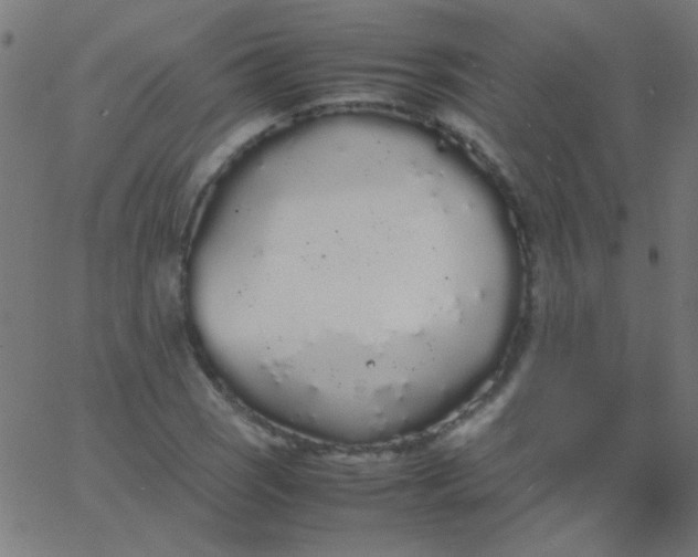 X0000067931121200604272002