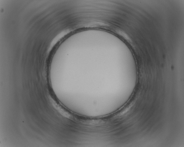 X0000067931122200604272002