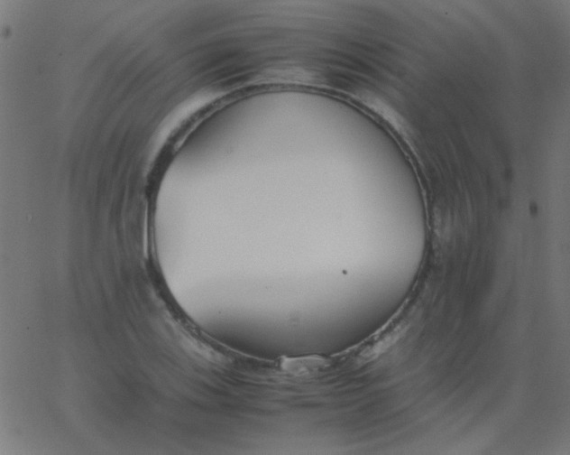 X0000067931123200604272002