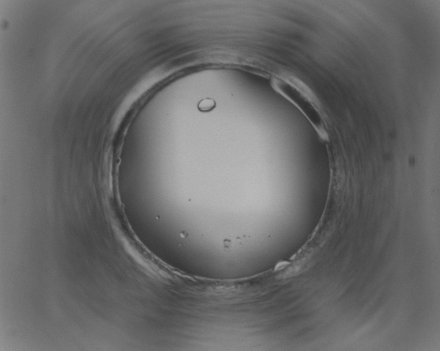 X0000067931128200604272002