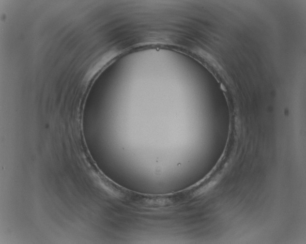 X0000067931129200604272002