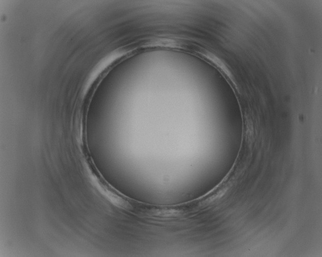 X0000067931131200604272002