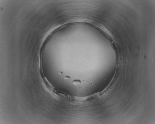 X0000067931132200604272002