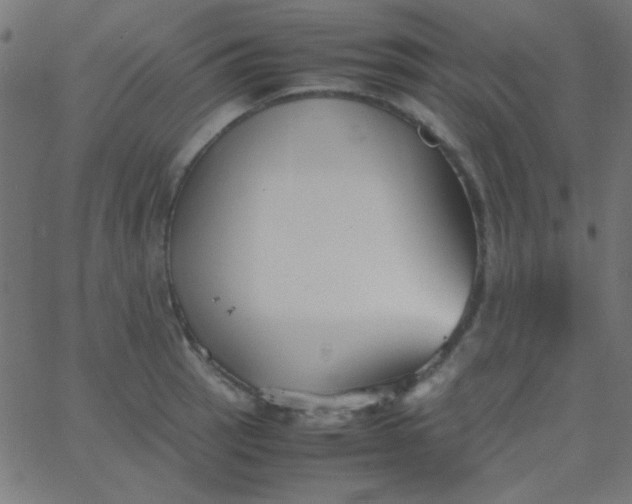 X0000067931137200604272002