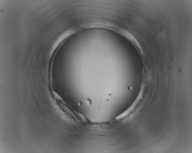 X0000067931138200604272002