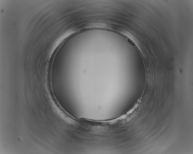 X0000067931139200604272002