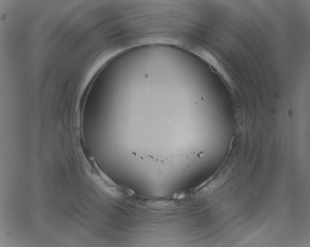 X0000067931140200604272002