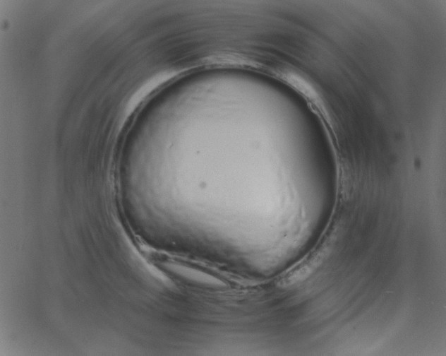 X0000067931141200604272002