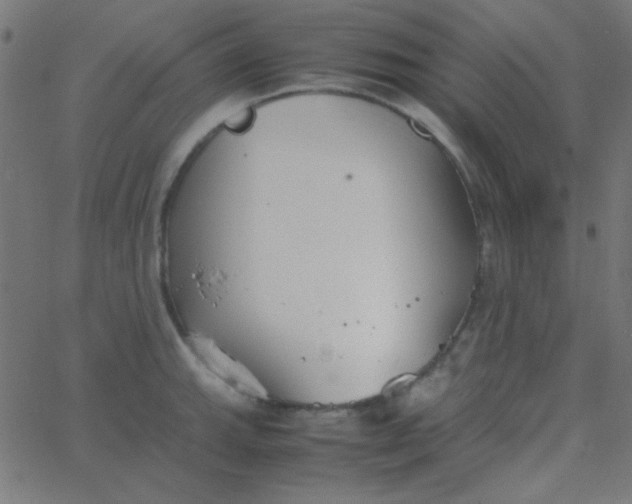 X0000067931143200604272002