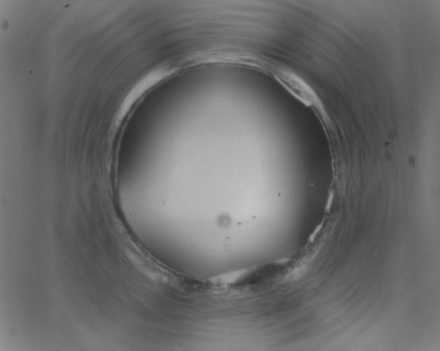 X0000067931146200604272002