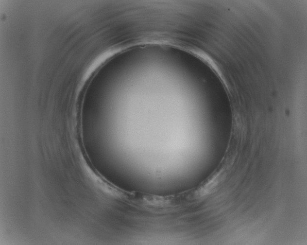 X0000067931147200604272002