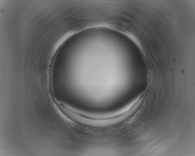 X0000067931151200604272002