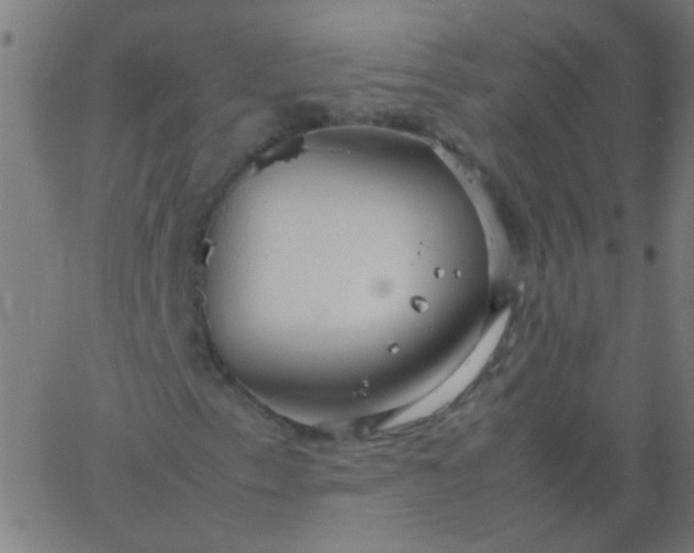 X0000067931153200604272001