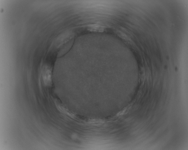 X0000067931154200604272001