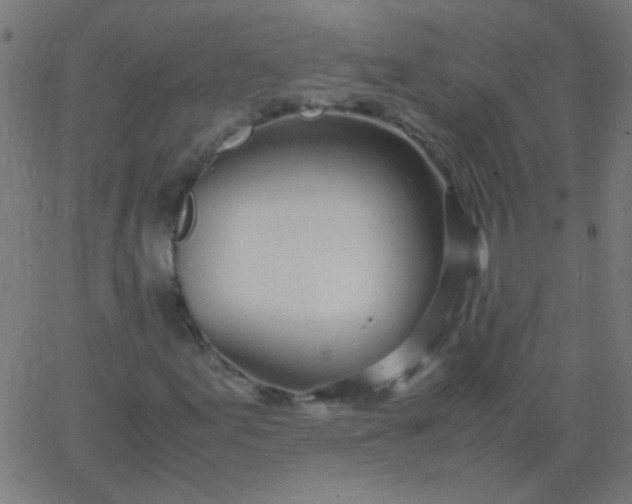 X0000067931155200604272001