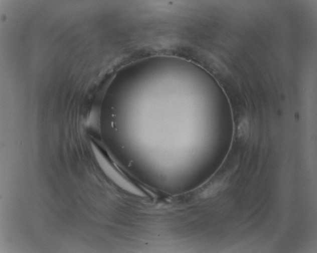 X0000067931156200604272001