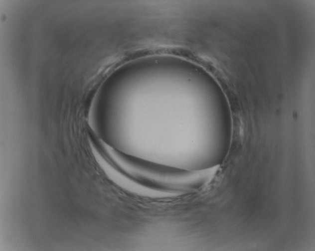 X0000067931157200604272001