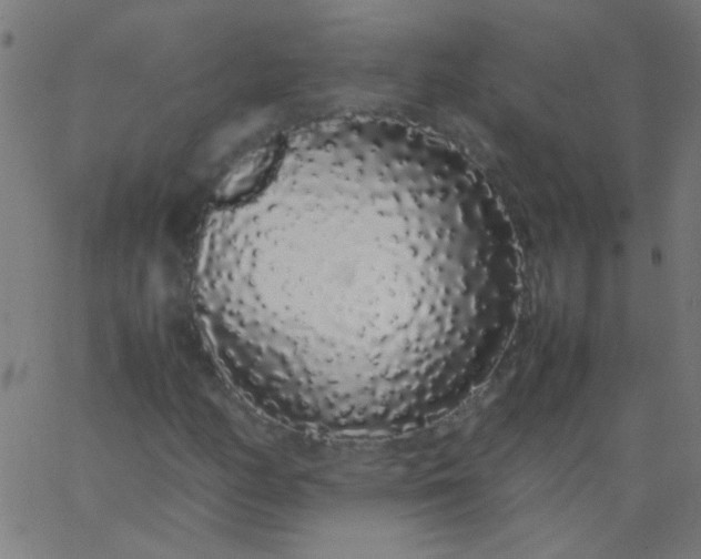 X0000067931158200604272001