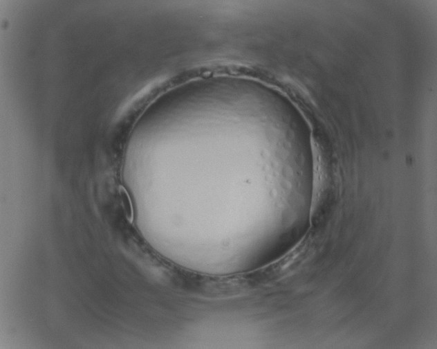 X0000067931159200604272001