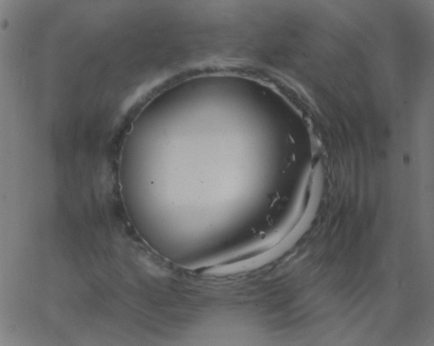 X0000067931160200604272001