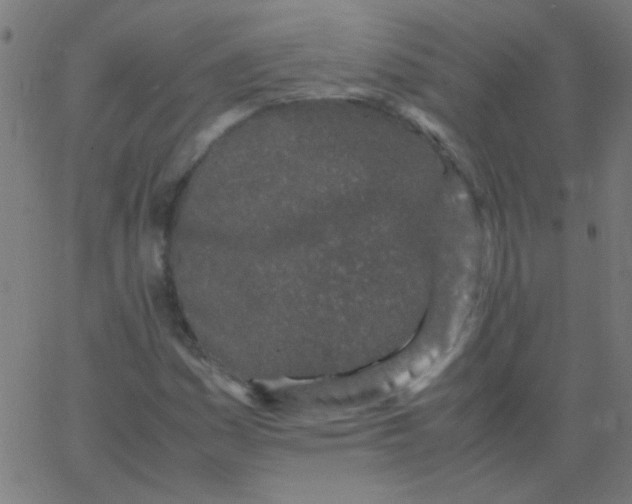 X0000067931161200604272001