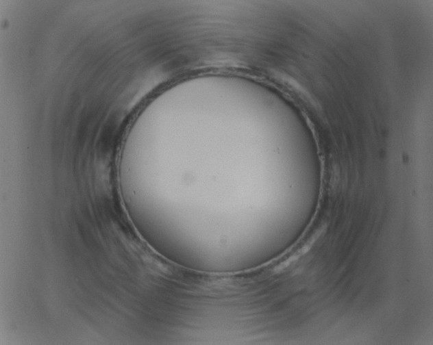 X0000067931162200604272001