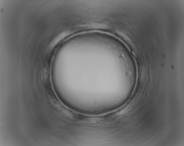 X0000067931163200604272001