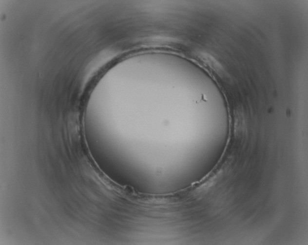 X0000067931164200604272001